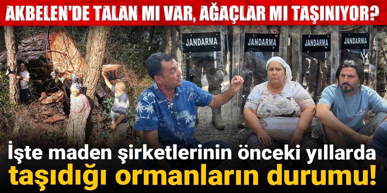 Akbelen’de talan mı var, ağaçlar mı taşınıyor? İşte maden şirketlerinin önceki yıllarda taşıdığı ormanların durumu!