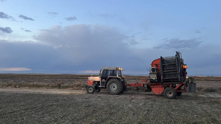 karsta hasat basladi ciftciler zamanla yarisiyor ft7KuC7e.jpg