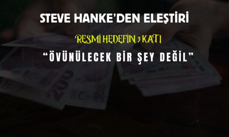 profesor-hankeden-simsekin-enflasyon-hedefine-elestiri-6KuGEO8f.jpg