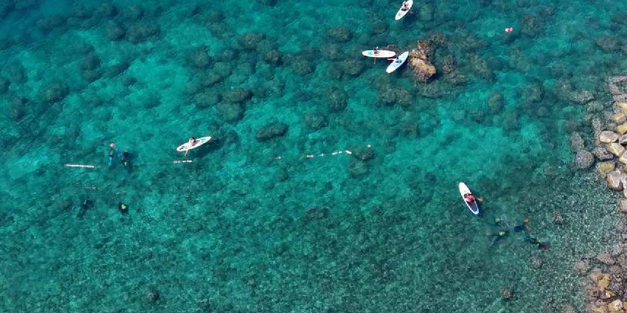 Dalgıçlar Deniz Temizliği İçin Seferber Oldu, Ancak Zorluklarla Karşılaştı