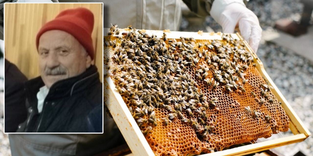 Arı Sokması Sonucu Hayatını Kaybeden Yaşlı Adam: Çayeli’nde Trajik Olay