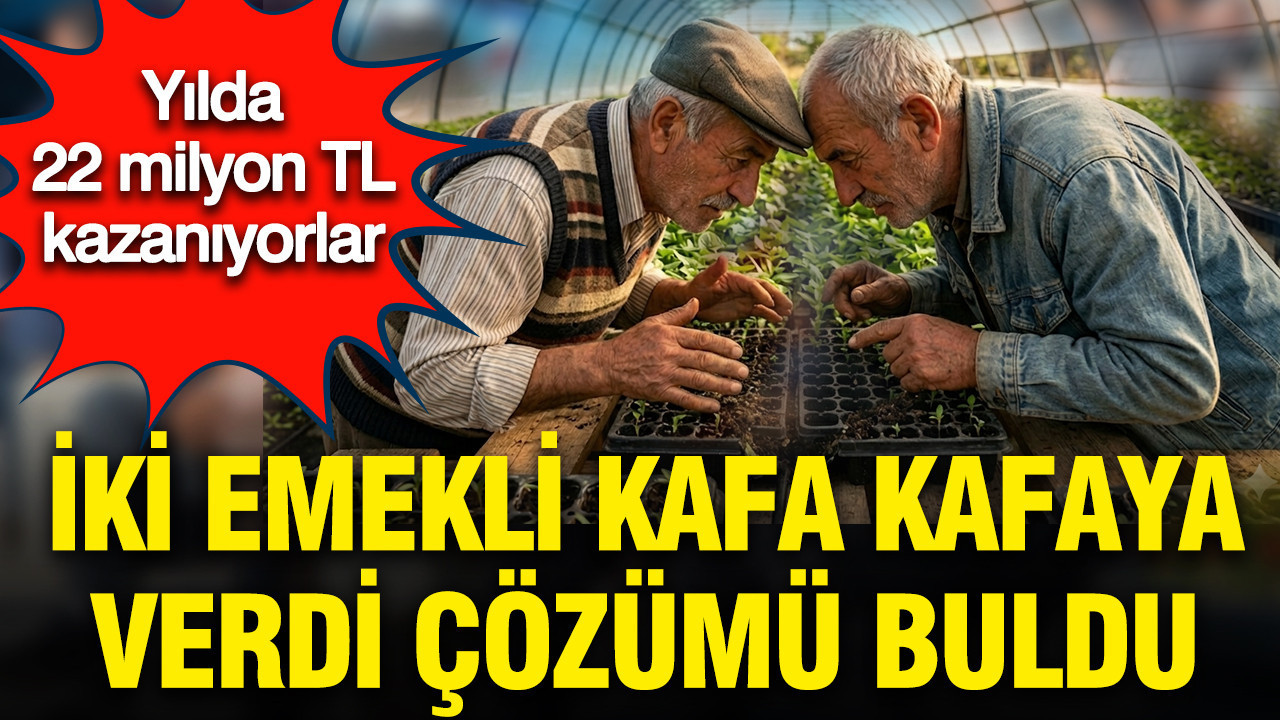 iki-emekli-kafa-kafaya-verdi-cozumu-buldu-hobi-olarak-basladilar-yilda-22-milyon-kazaniyorlar-QTORyj85