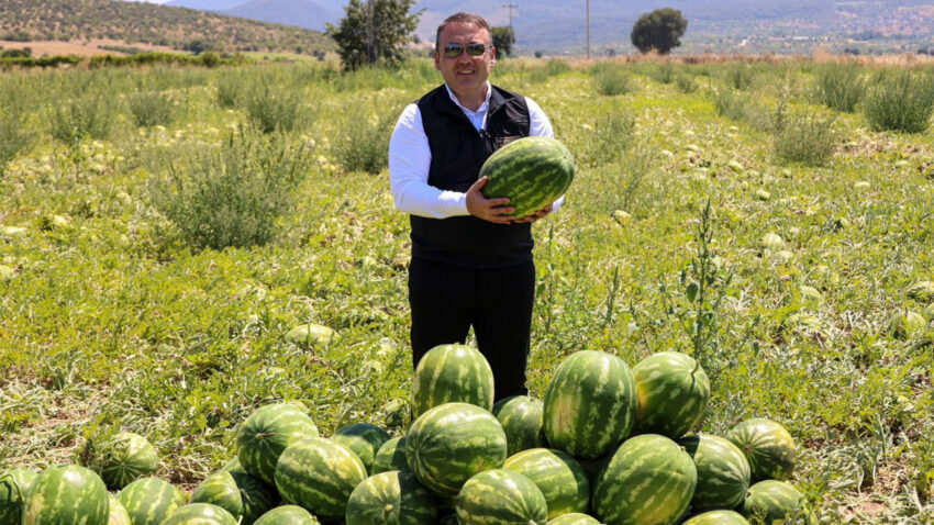Haber gorseli